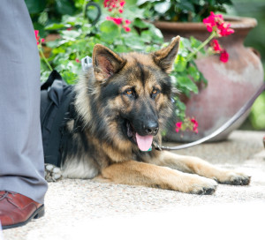 Wedding of the Week with Reverend Christel Stuart